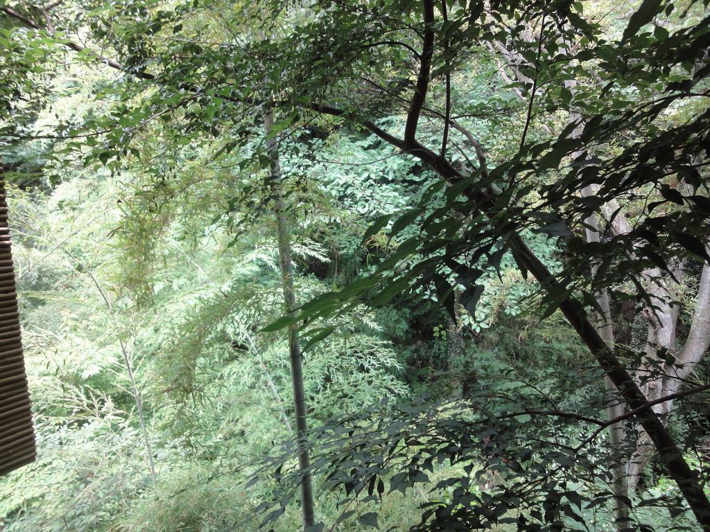 Ryokan Kiritani Hakoneso Exteriér fotografie