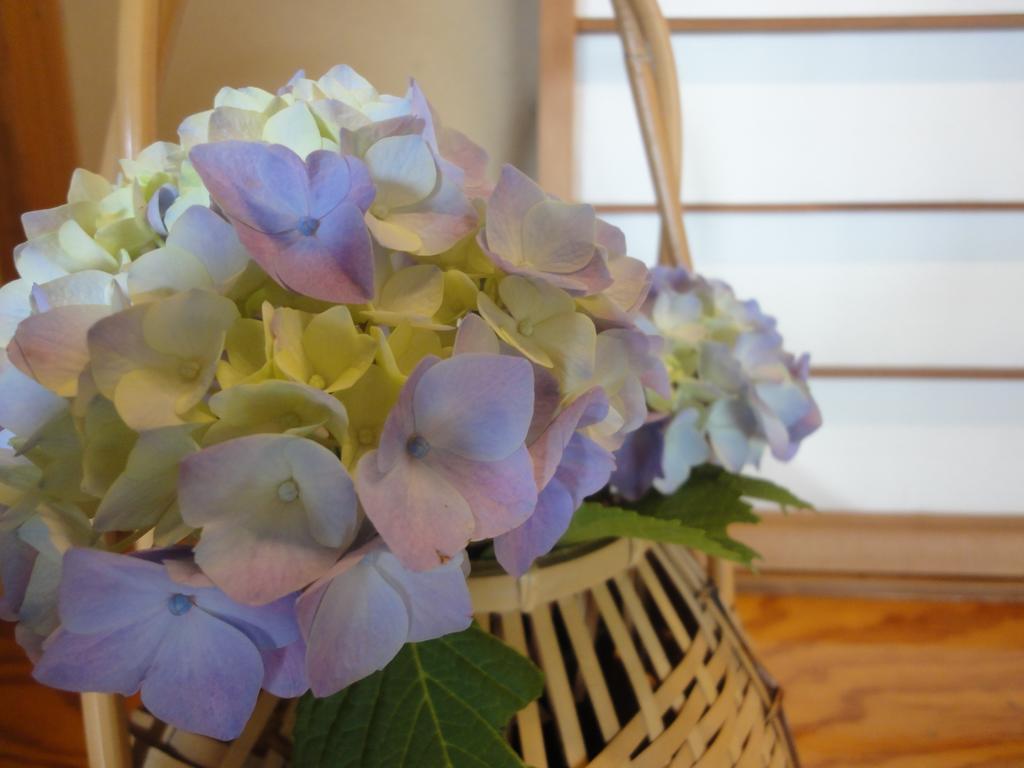 Ryokan Kiritani Hakoneso Exteriér fotografie